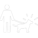 Gesuch für Hundehaltung einreichen (Hunde mit erhöhtem Gefährdungspotenzial)